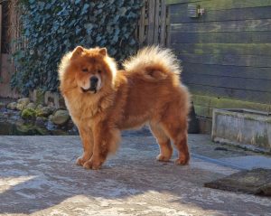 Sbi-Wang Ayumi am Posen :-)