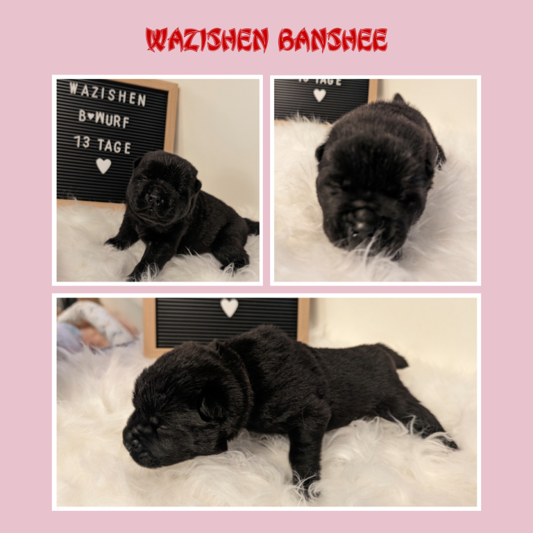 Woche 2